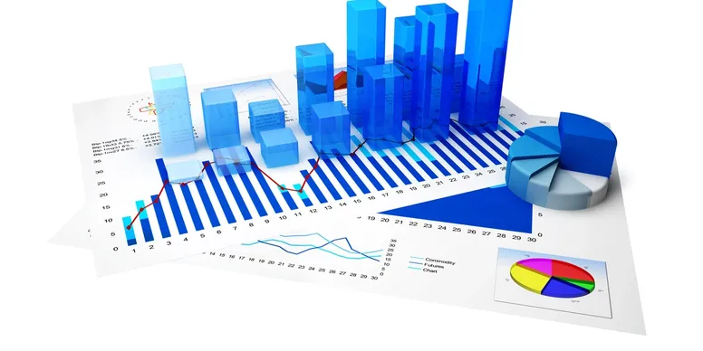 Vendor Management & Negotiation